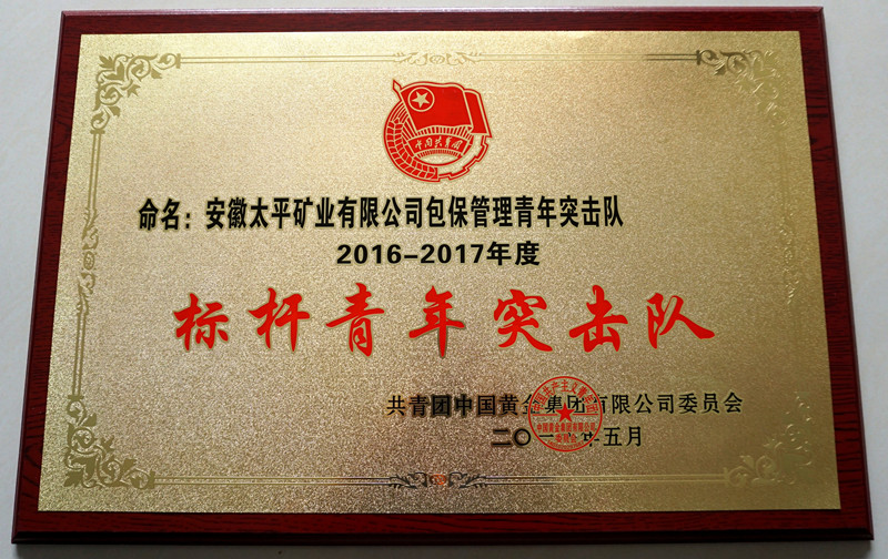 鏍囨潌闈掑勾绐佸嚮闃?JPG