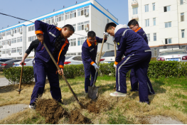 鍥剧墖17.png 鍥剧墖17.png